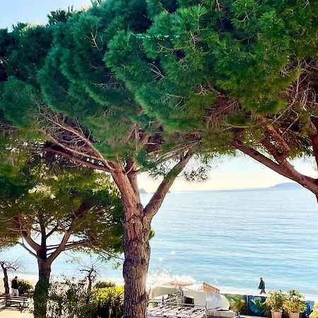 Appartement les pieds dans l'eau à Cavalière  Le Lavandou Esterno foto