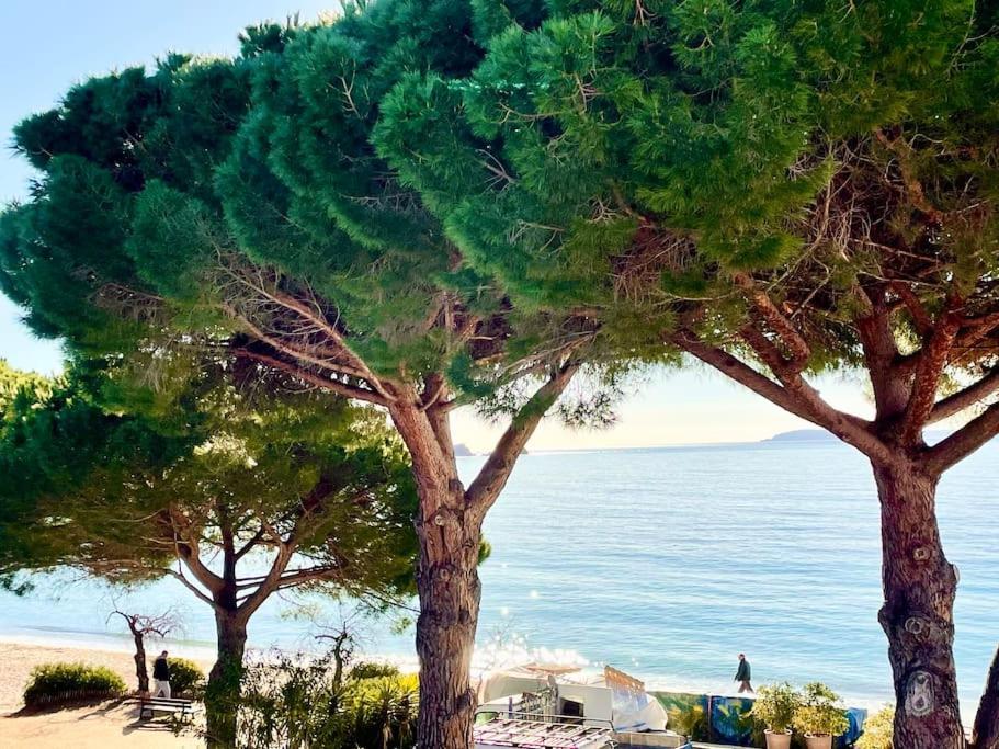 Appartement les pieds dans l'eau à Cavalière  Le Lavandou Esterno foto